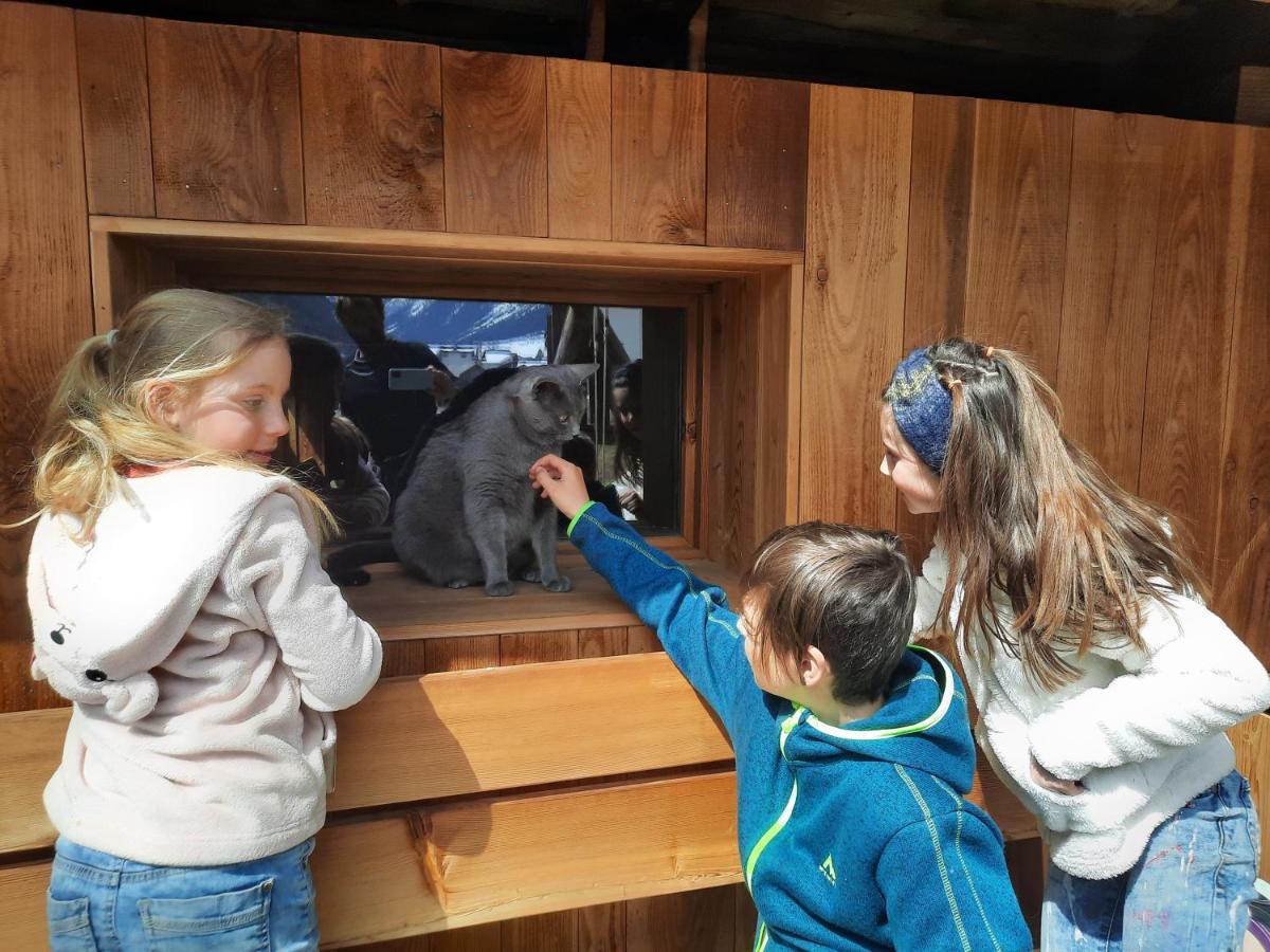 Apartmán Adlerhof Sankt Leonhard im Pitztal Exteriér fotografie